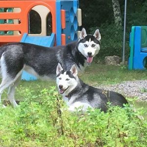 Meet your Posher, Heide